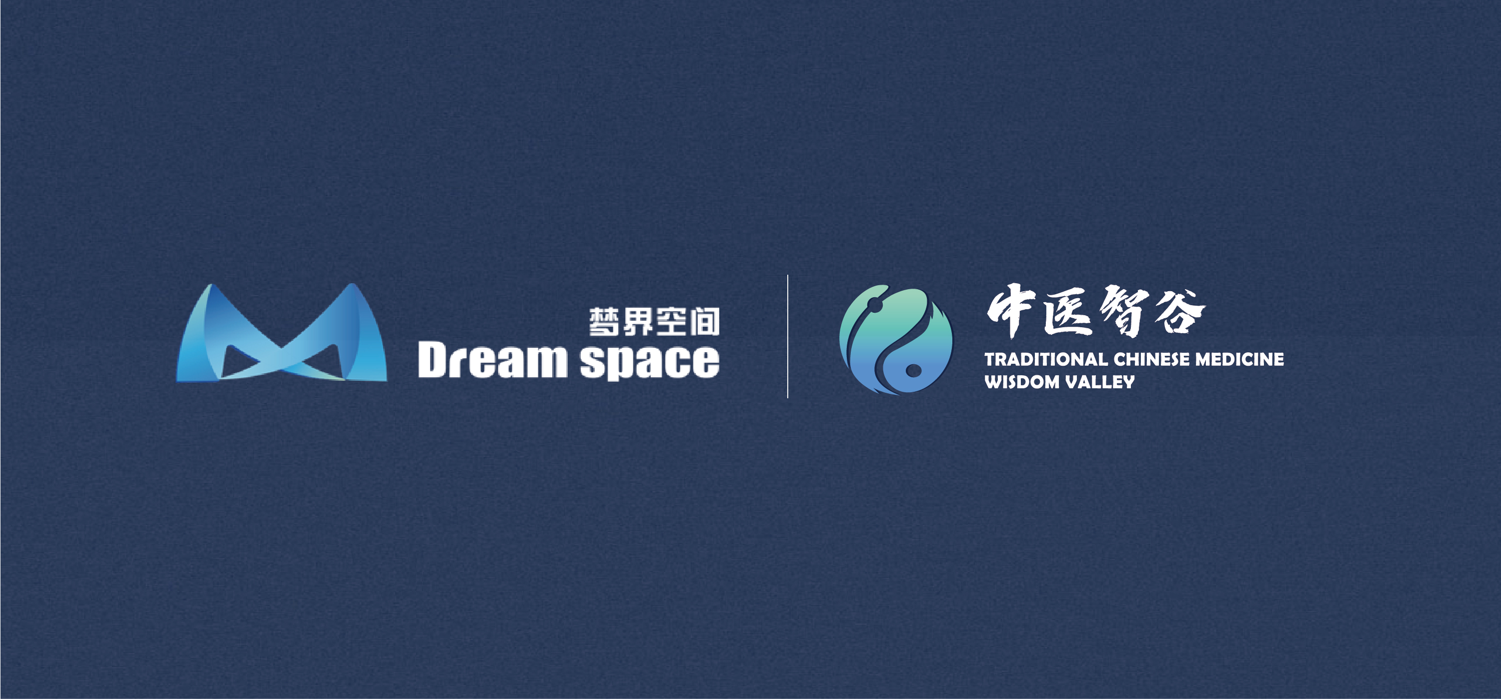 中醫智谷logo.jpg
